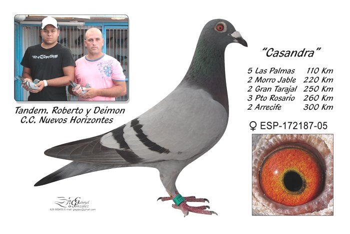 Roberto3