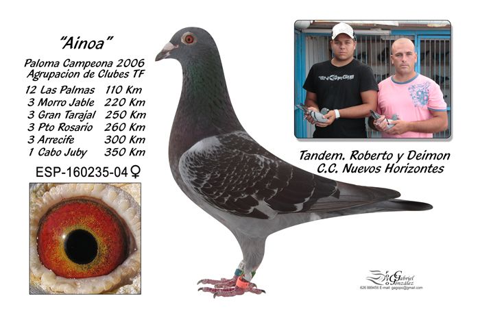 Roberto4