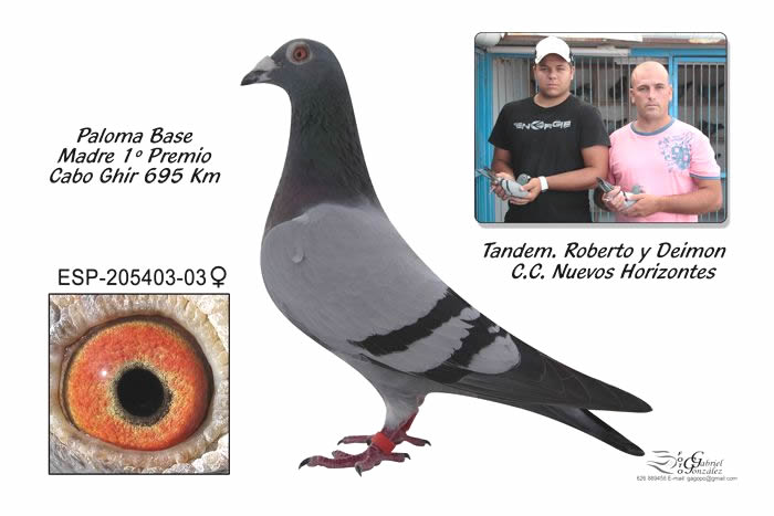 Roberto5