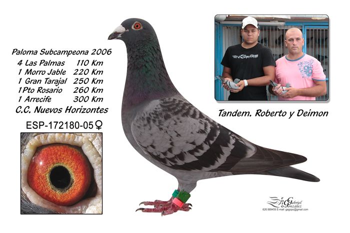 Roberto7