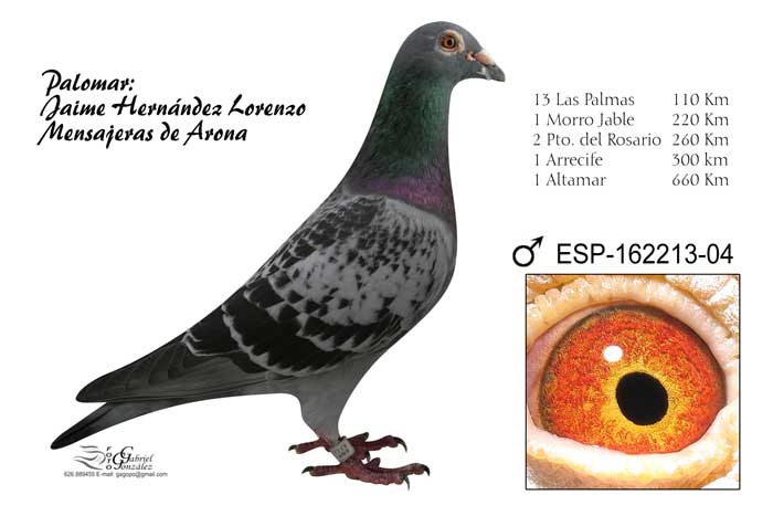 Mensajeras de Arona