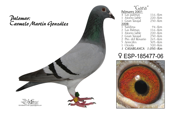 Carmelo Martin