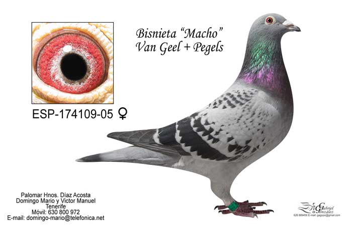 Domingo Mario