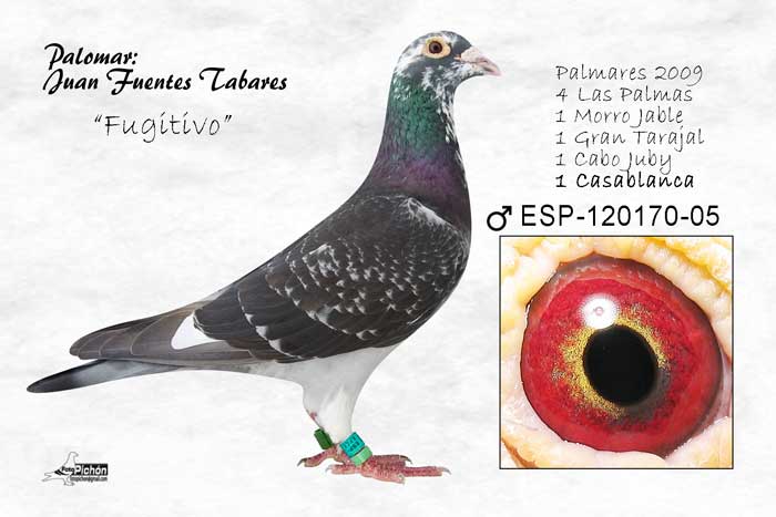 Juan Fuentes Tabares