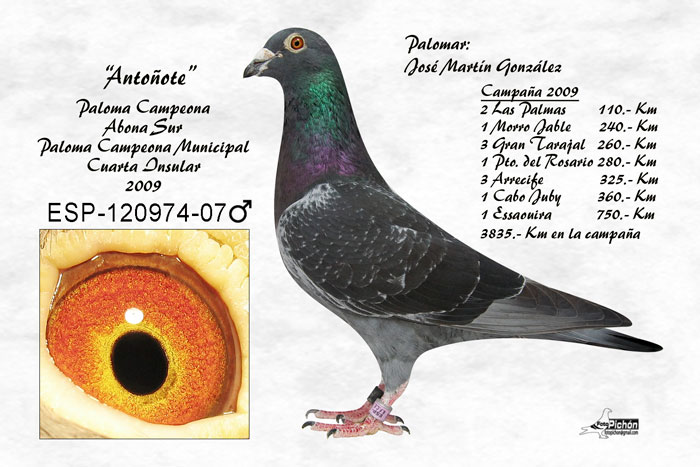 José Martín