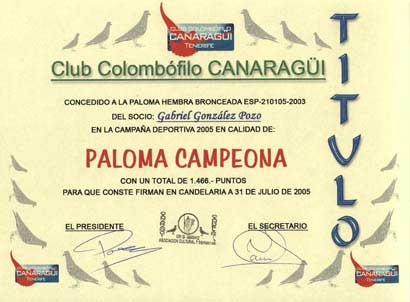 2005_2