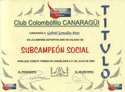 2005_6