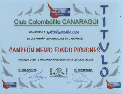 2005_8