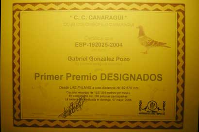 2006_13