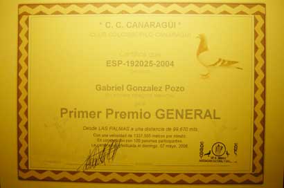 2006_14