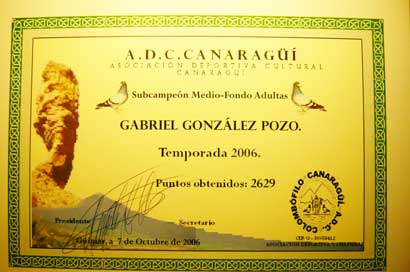 2006_2