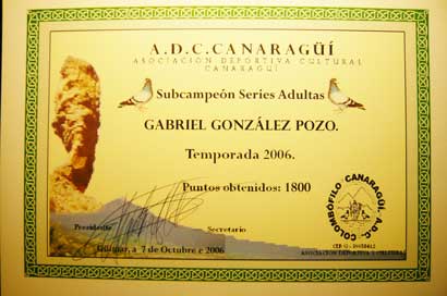 2006_3