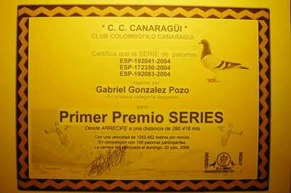 2006_5