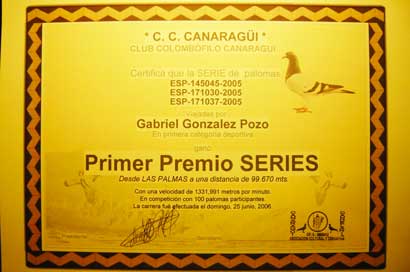 2006_6