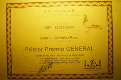 2006_7
