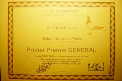 2006_9