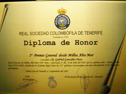 2007_7