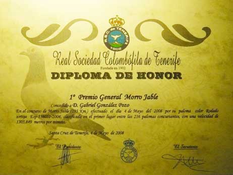 diploma3