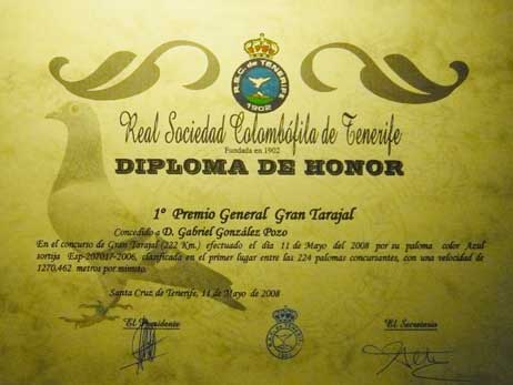 diploma4