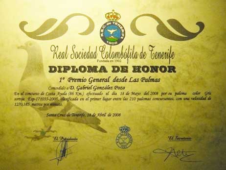 diploma6