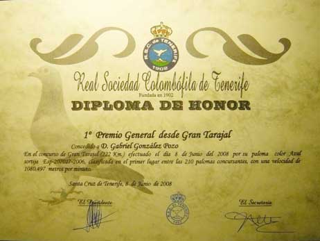 diploma8