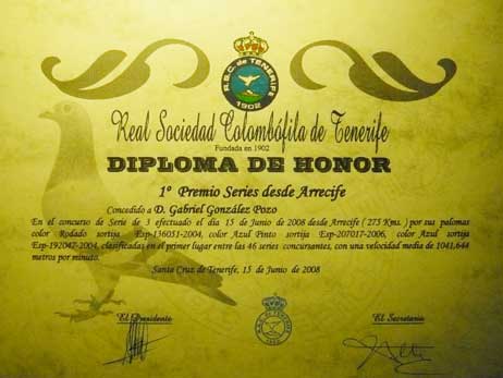 diploma9