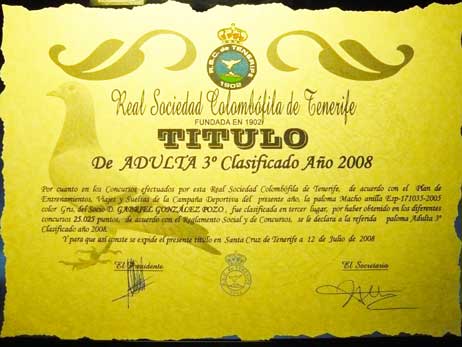 diploma10
