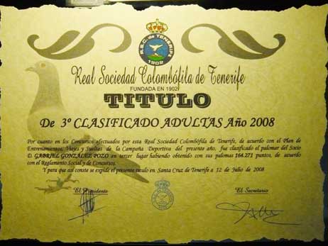 diploma11