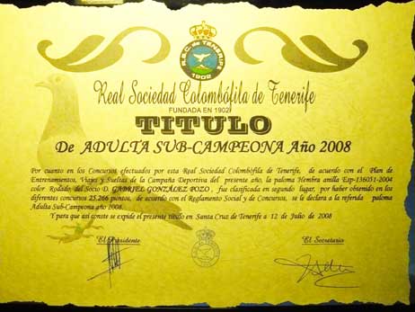 diploma12