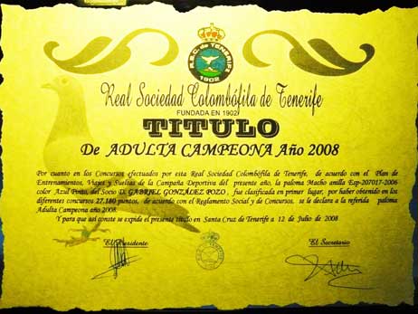 diploma13