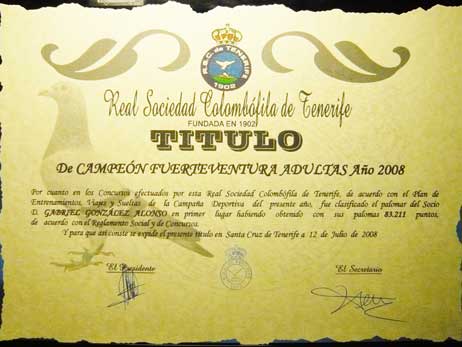 diploma14