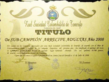 diploma15