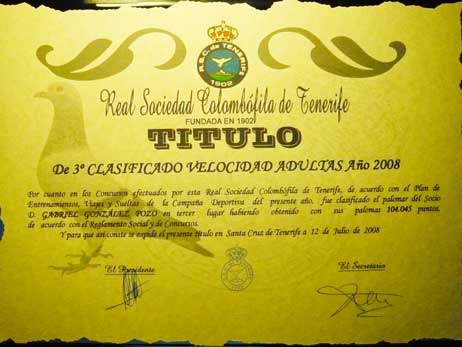 diploma16