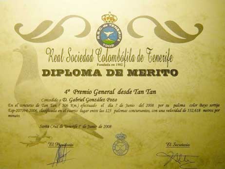 diploma18