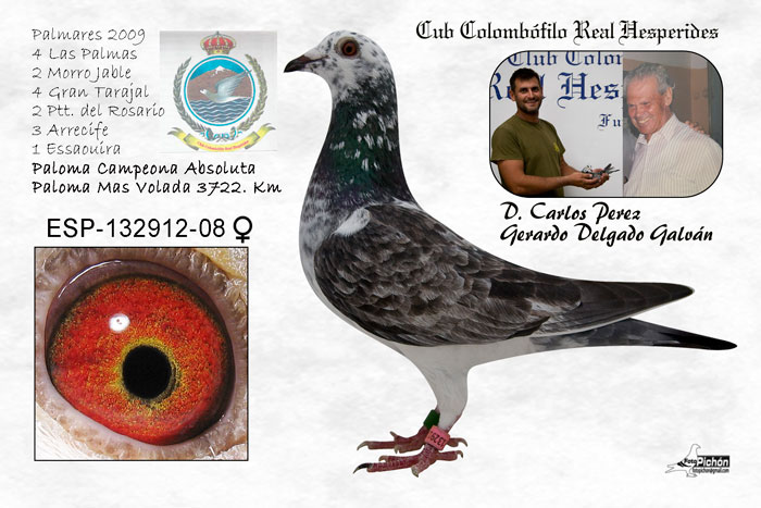 Real Hesperides