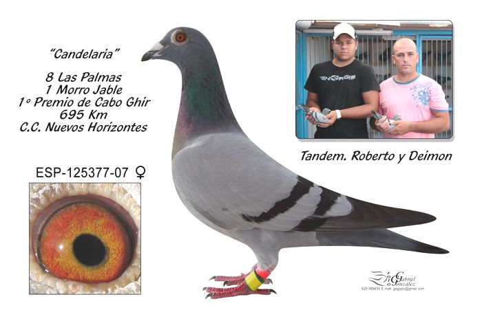 Roberto y Deimon